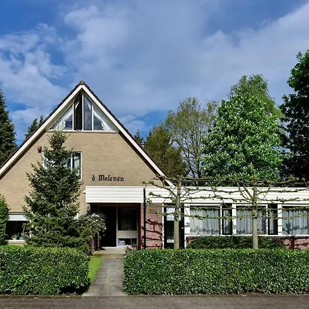 Koningslijn *